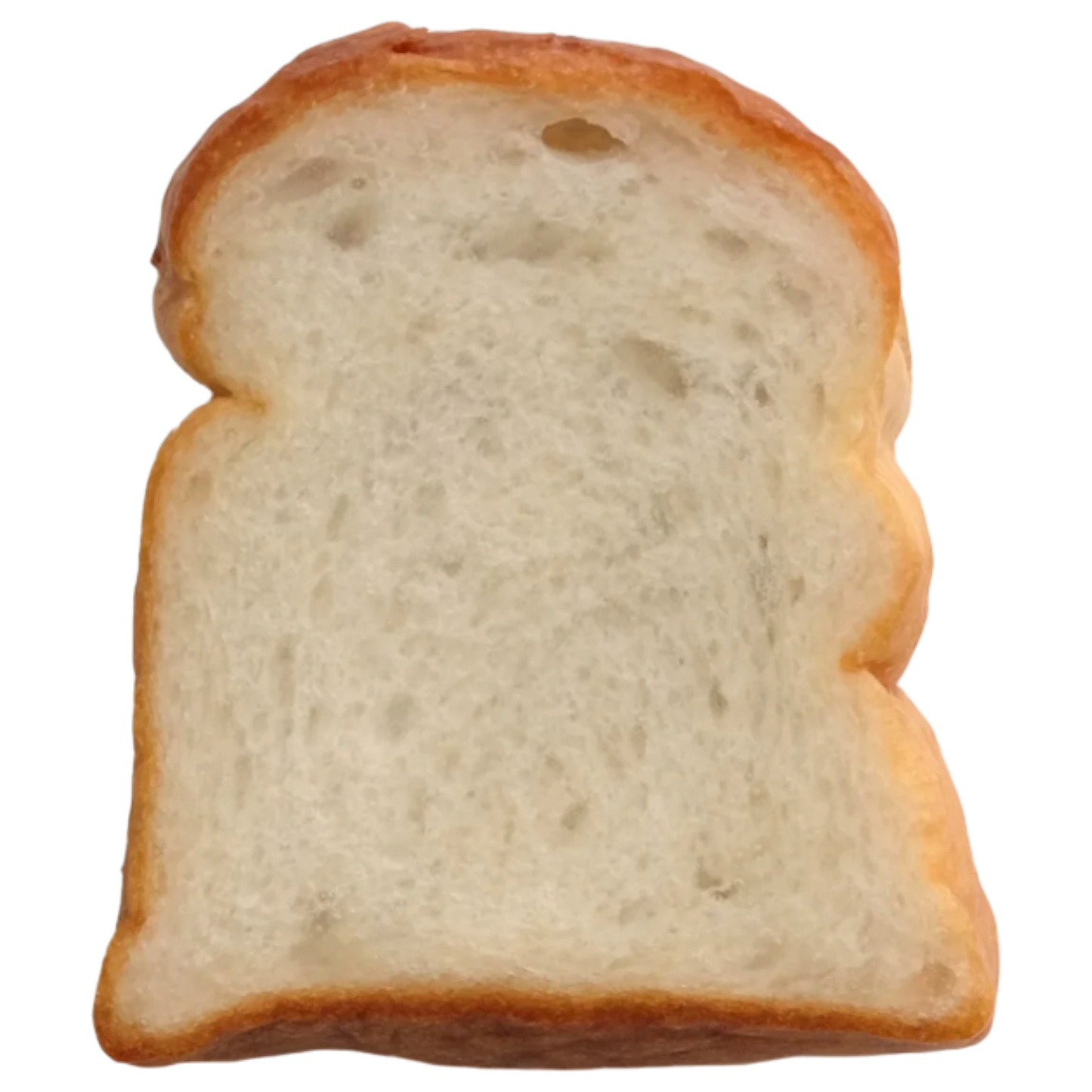 Toast Lamp
