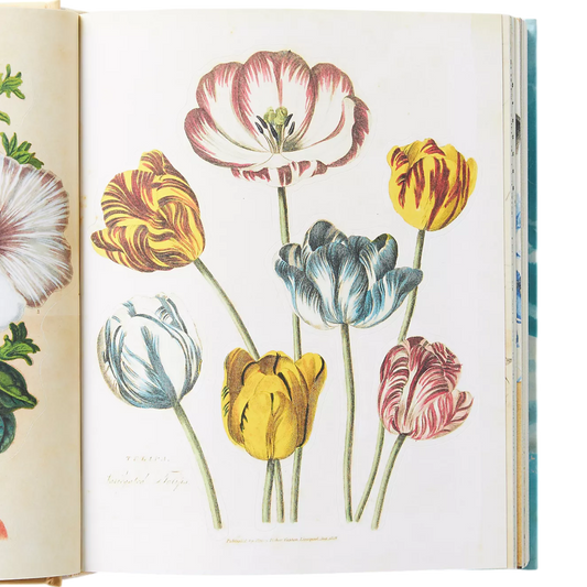 John Derian Sticker Book