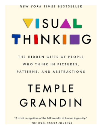 Visual Thinking