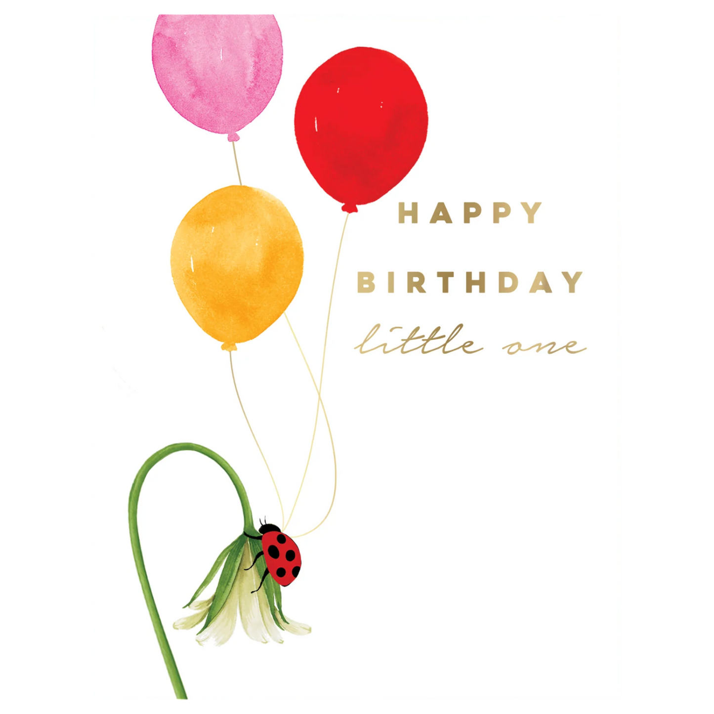 Ludy Bugs Birthday Card
