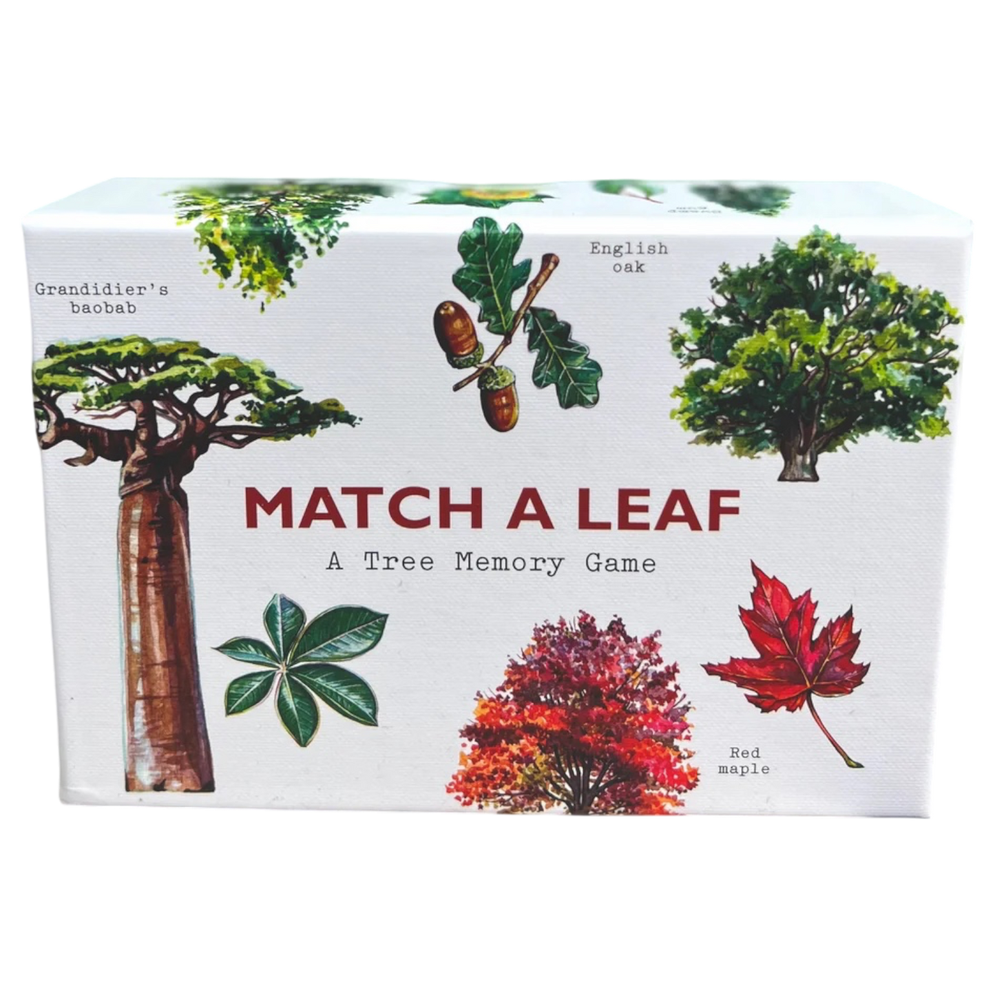 Match a Leaf
