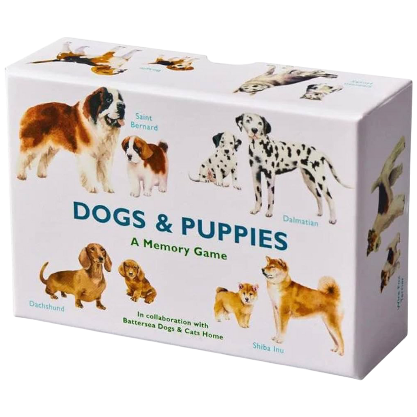 Dogs & Puppies: A Memory Game