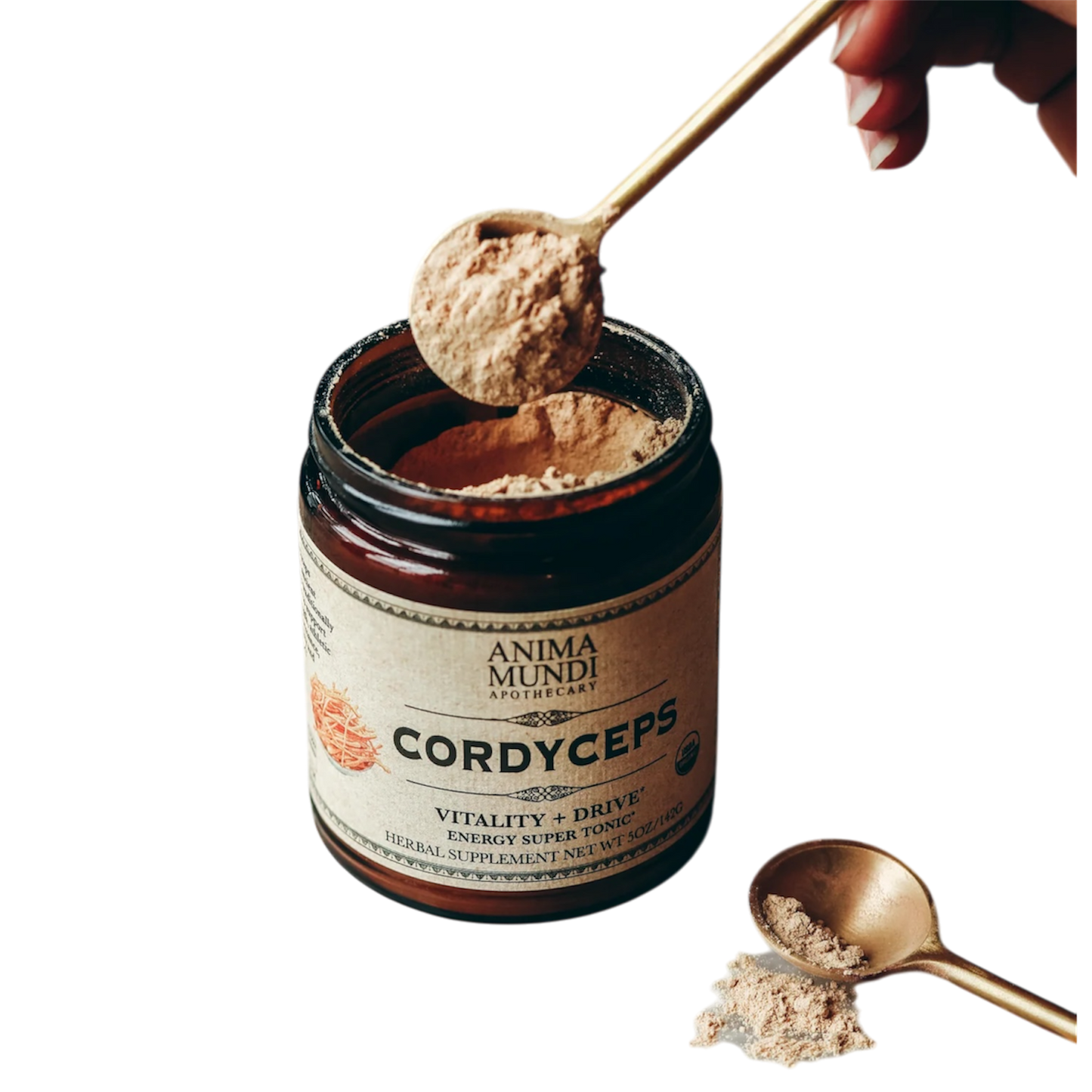 Cordyceps: Energy Super Tonic