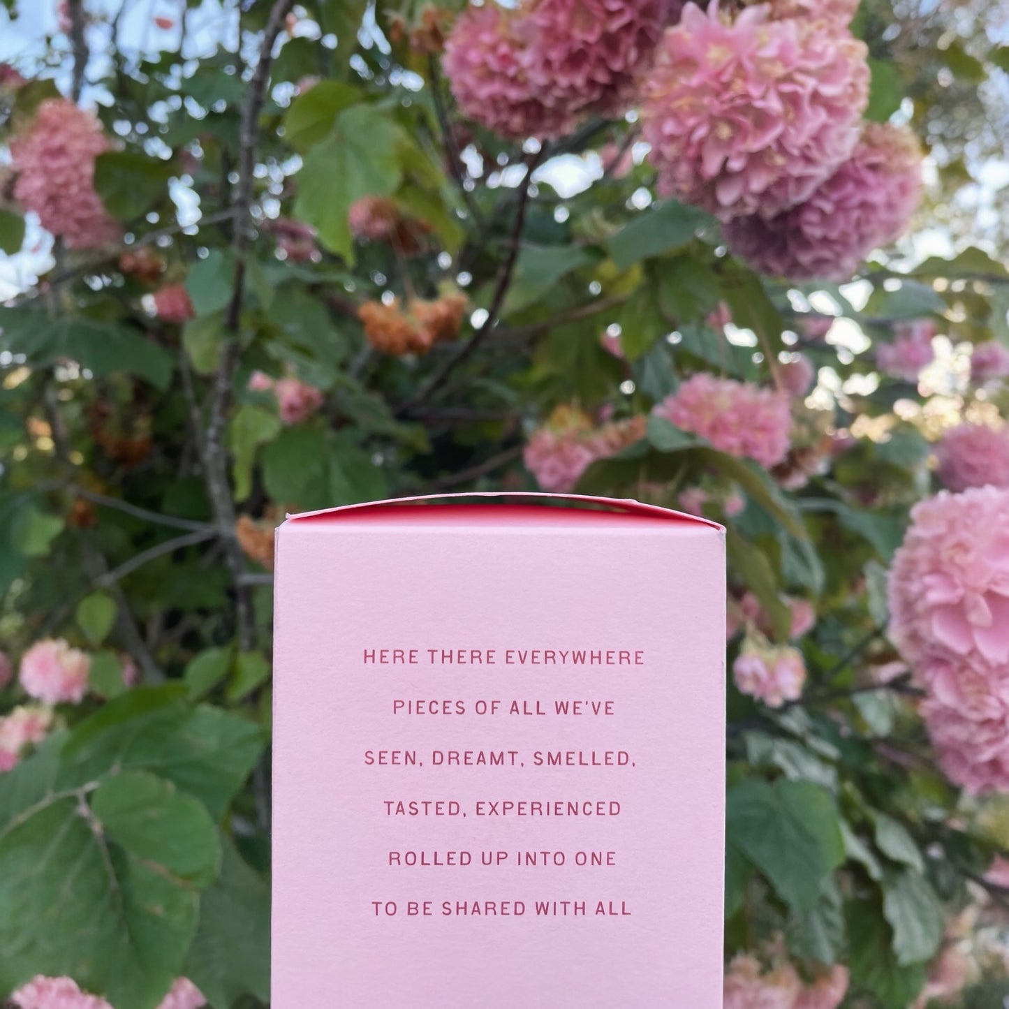 Here There Everywhere 8oz Candle