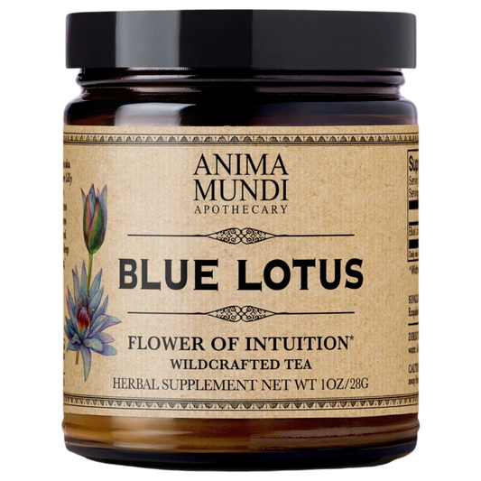 Blue Lotus Flowers