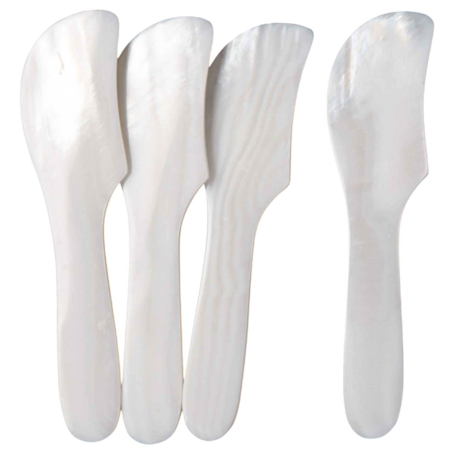 Seashell Spreaders: Set of 4