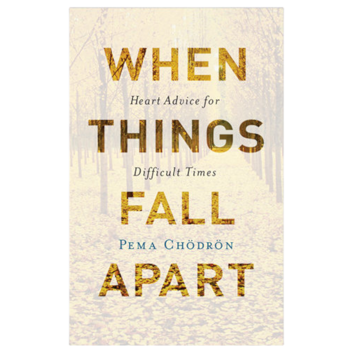 When Things Fall Apart