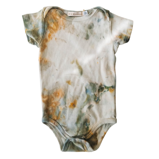 Organic Onesie: Lichen, 6-12 mo