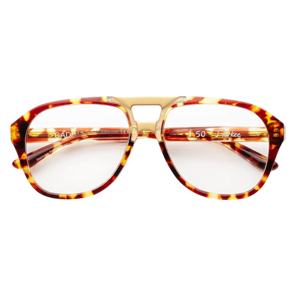 J Turkee Turtle/Matte Gold 2