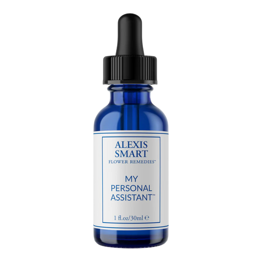 My Personal Assistant (Alcohol Free)