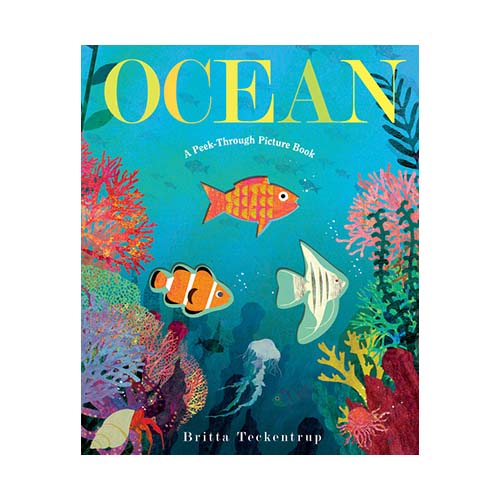 Ocean: A Peak Through Picture Book