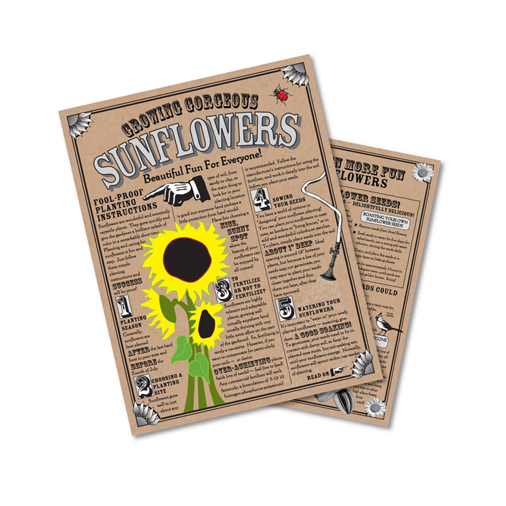 Sunflower Seed Grow Kit
