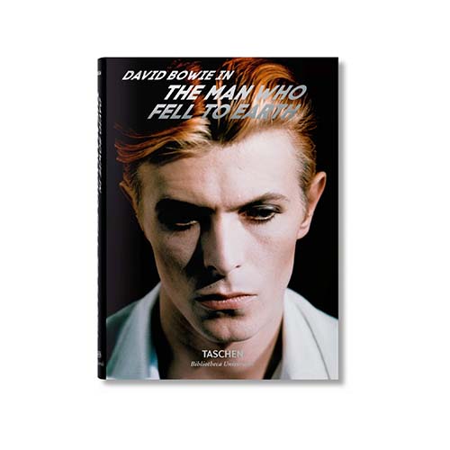 Bowie, The Man Who Fell to Earth